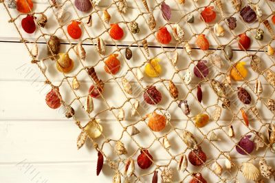 Souvenir - sea shells