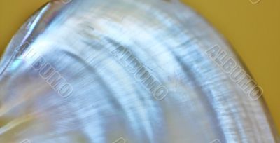 Nacre with pearly bows  