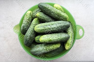 cucumbers