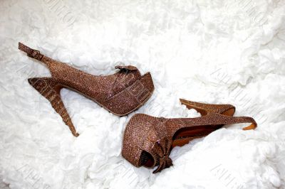 Lady Shoes