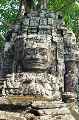 Angkor,Cambodia