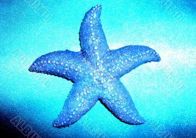 A starfish at the center of a blue background.