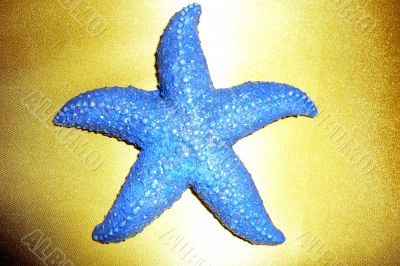 A starfish at the center of a gold background.
