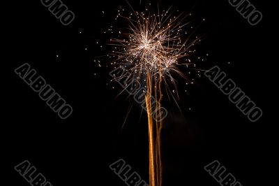 orange exploding dandelion