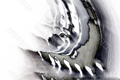 distorted reflections of mirror bean distorted reflections of mirror bean