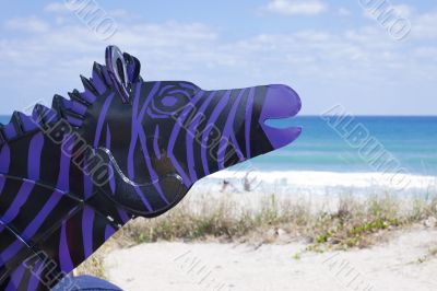 Purple Zebra