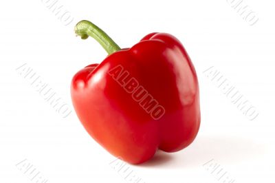 red bell pepper