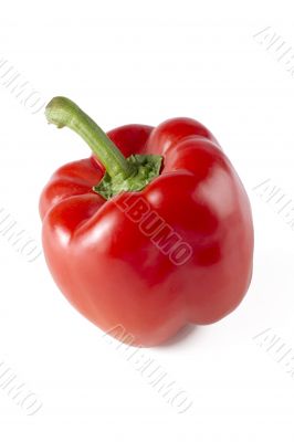 red bell pepper