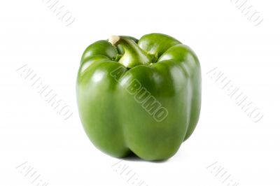 green bell pepper