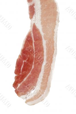 fresh bacon slice