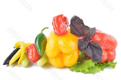 Different kinds of peppers Different kinds of peppers