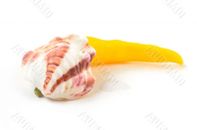 Santa fe peppers on a white background