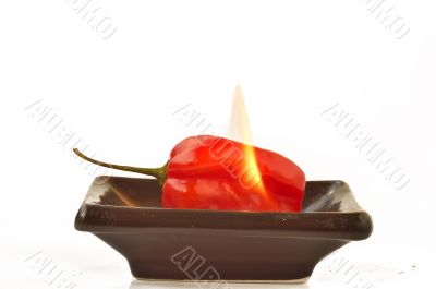 Fire and scotch bonnet peppers
