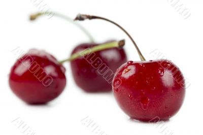 three yummy cherries