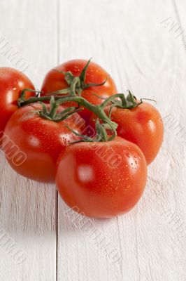 ripe tomatoes