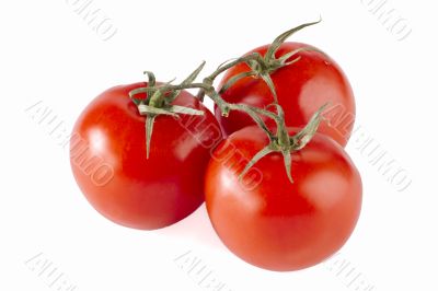 three cherry tomatoes