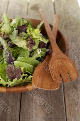 vegetable salad in wooden bowl