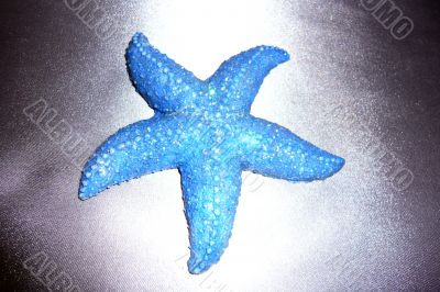 Souvenir &quot;Starfish&quot; on a dark gray shiny background.