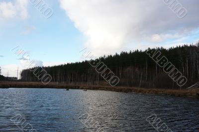 Lake, pine forest and sky.