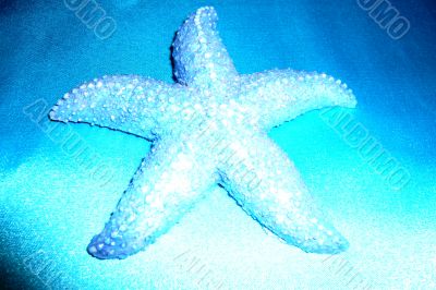 Souvenir &quot;Starfish&quot; on a blue background.