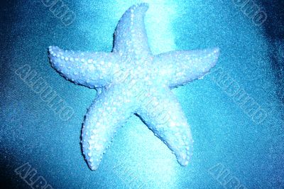 Souvenir &quot;Starfish&quot; on blue shiny background.