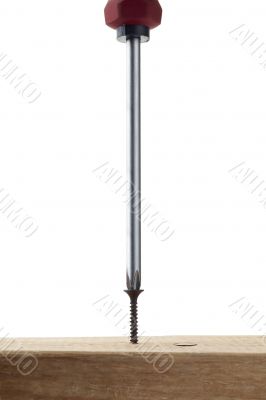 screwdriver and screw screwdriver and screw