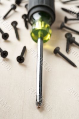 screw driver and screw screw driver and screw