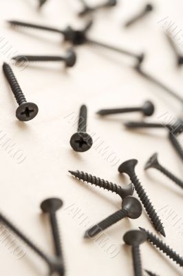 screws nails screws nails