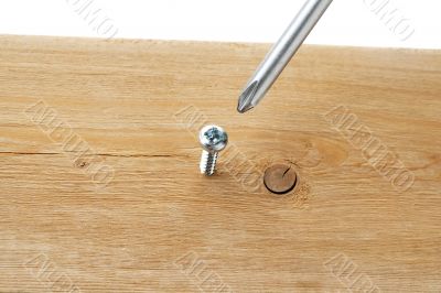 close up shot of screw driver and screw close up shot of screw driver and screw