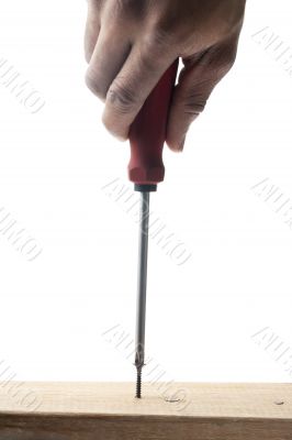 woodscrew and screwdriver