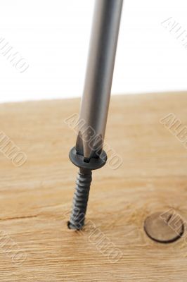 screw on wood