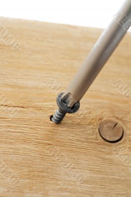 screw driven by screw driver to a wood