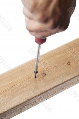 screw being driven into wood screw being driven into wood