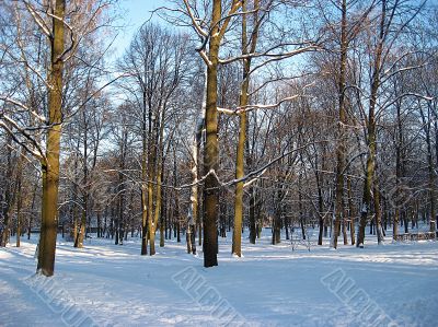 Snowy winter in Latvia