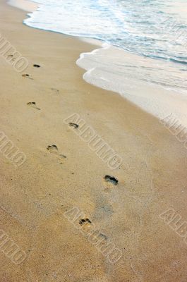 Foot prints on a sandy beach 
