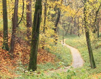 Path in the park Path in the park