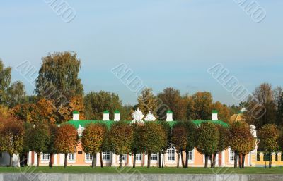 Trees in autumn park
