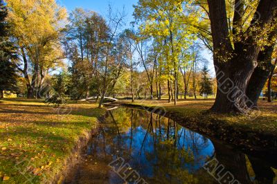 Autumn park