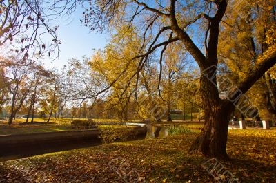 Autumn park