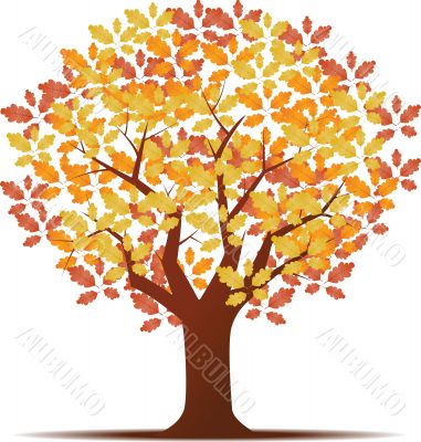 autumn background with trees and leaves