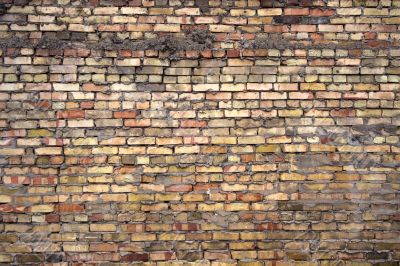 full frame shot of brick wall