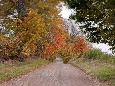 road during fall