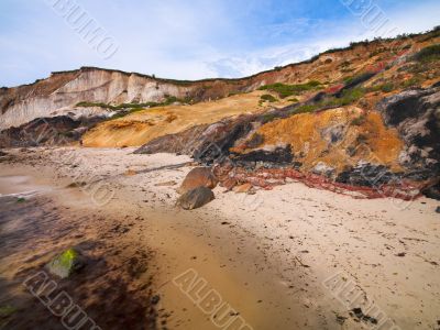 vibrant beaches