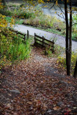 wooden fence and autumn leaves