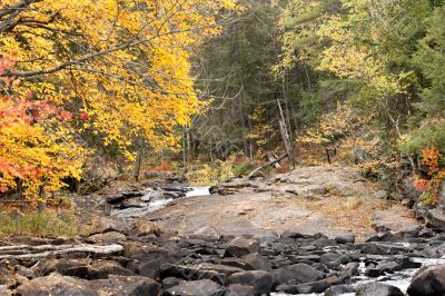 river with rocks and trees