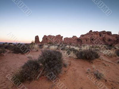 bushes with cliffs in background