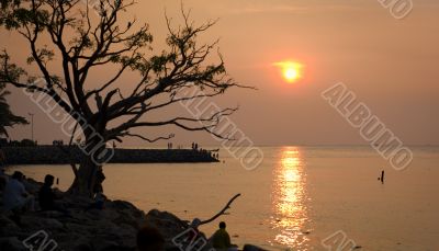 kochi sunset kochi sunset