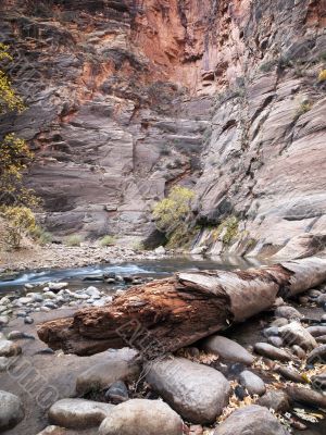 water collecting on rocks