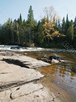 trees and flowing river