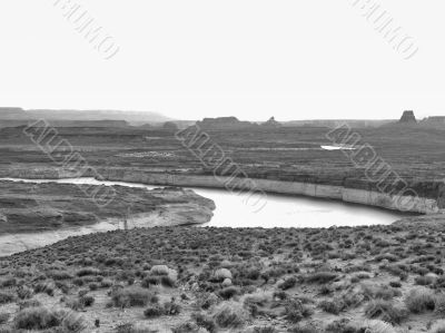 bushes and water stream